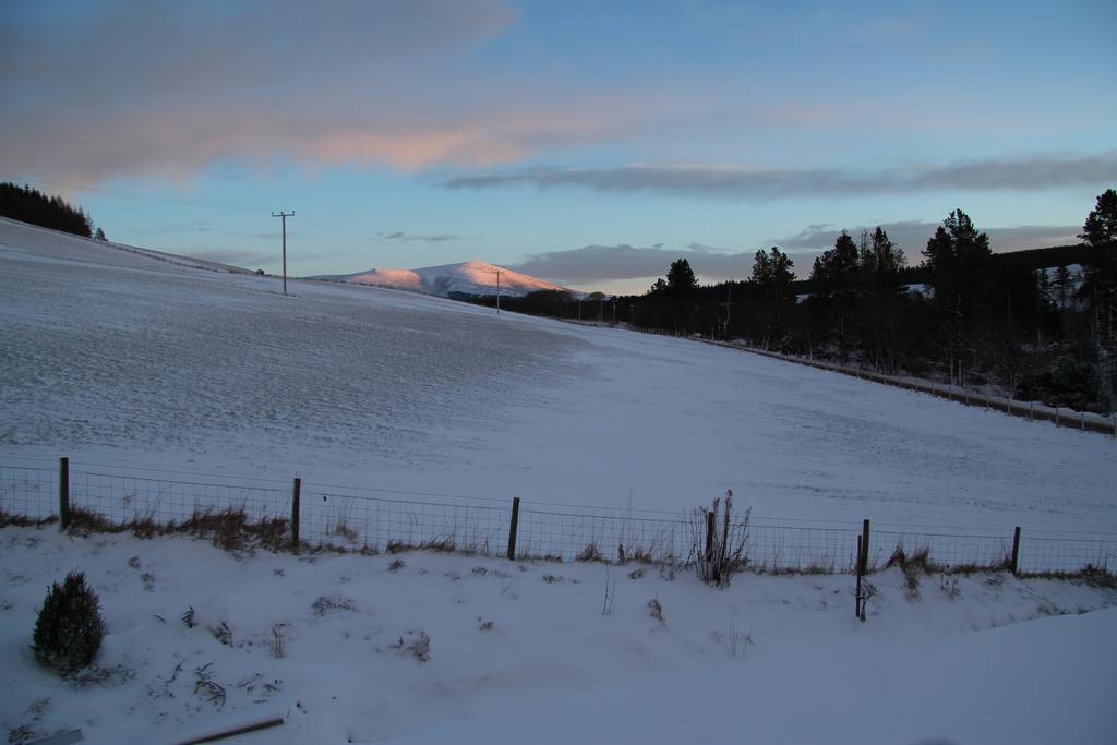 Thistle Dhu Glenlivet